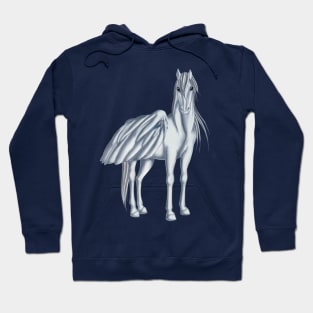 Pegasus 23 Hoodie